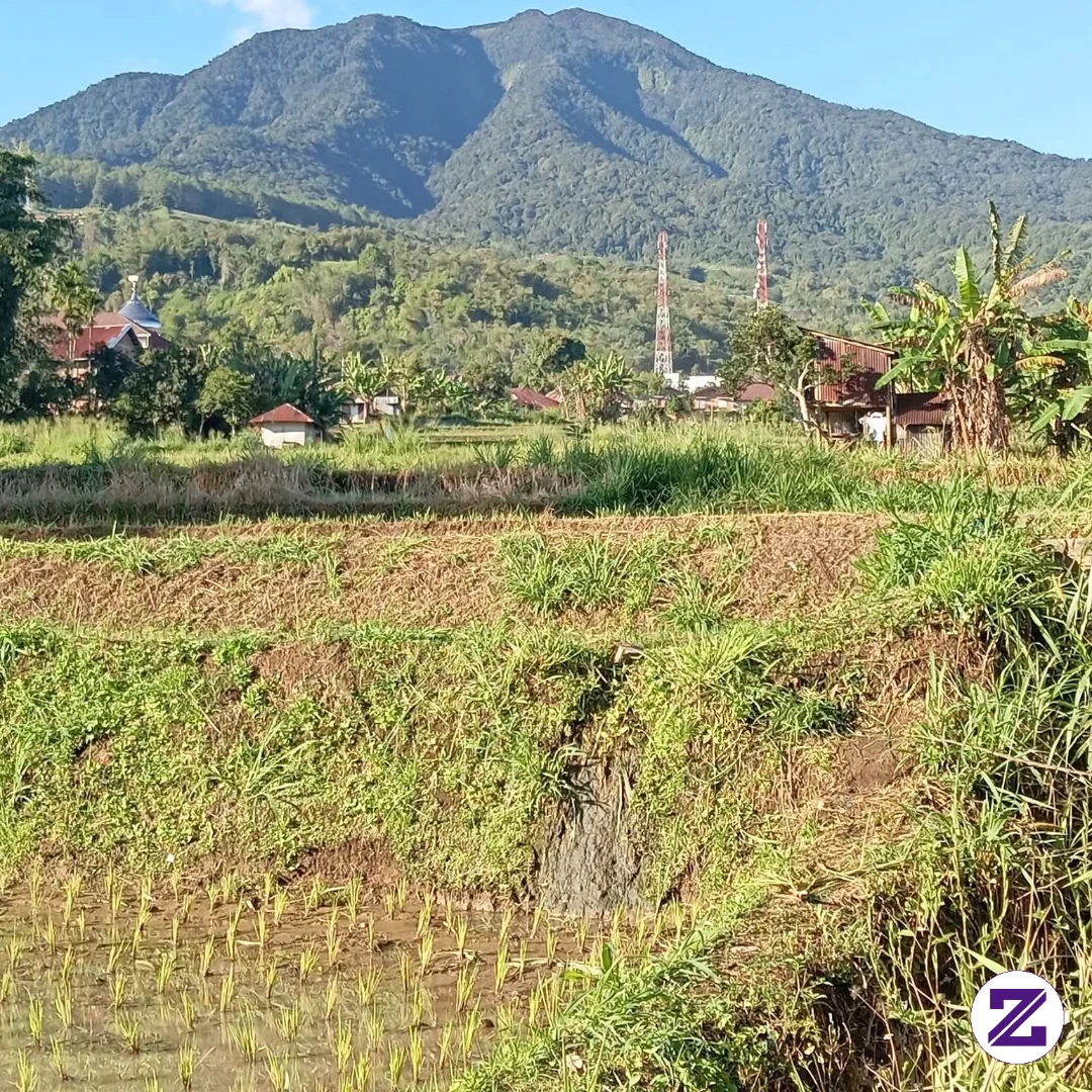 Selamat Pagi
