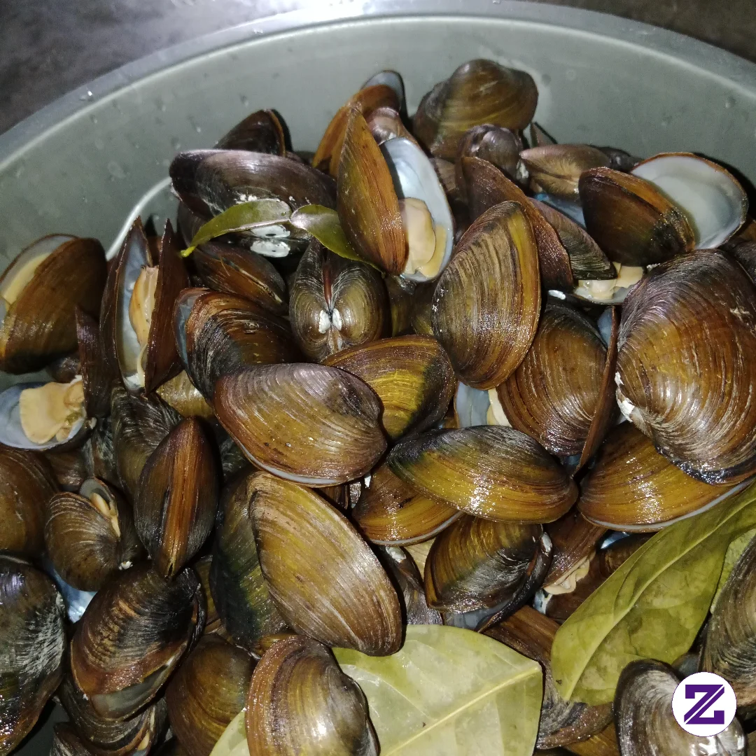 Assalamu'alaikum... Selamat Pagi Besti.... Masak Apa Hari Ini