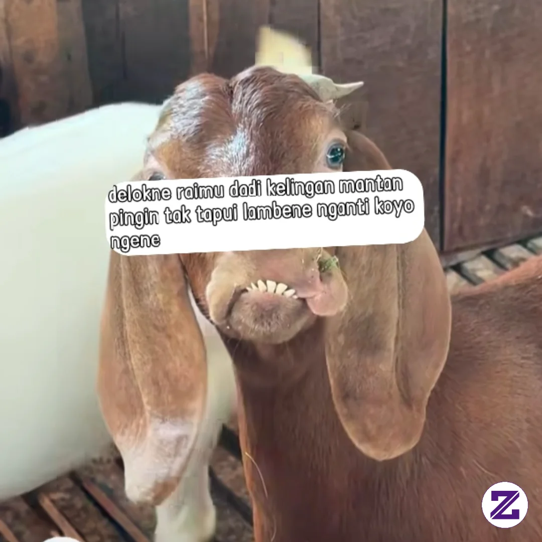 Kiro Kiro Neg Ketemu Bocae Langsung Tak Gae Ngeneki🤣