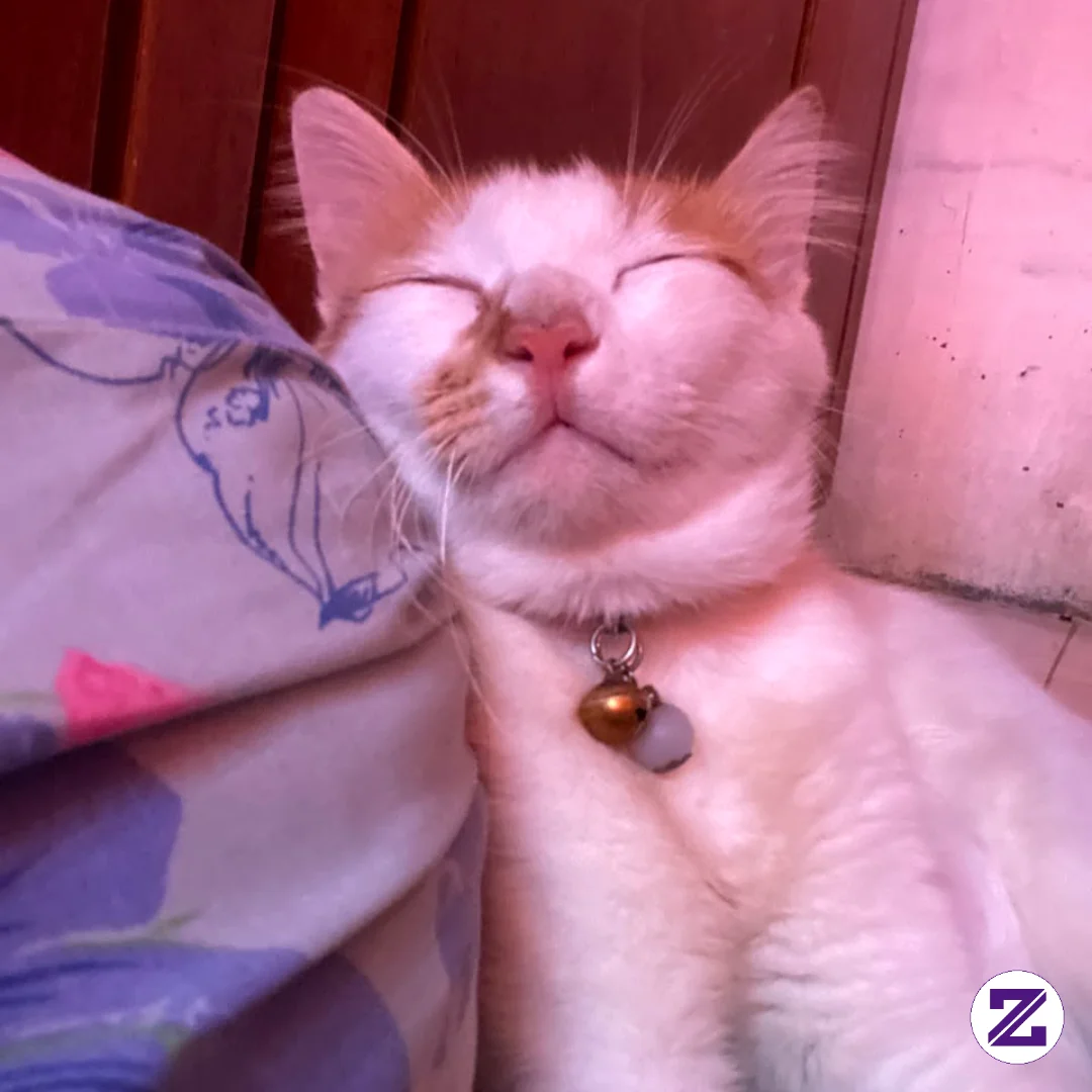 Malikaa Dengan Gaya Tidurnyaa 😁