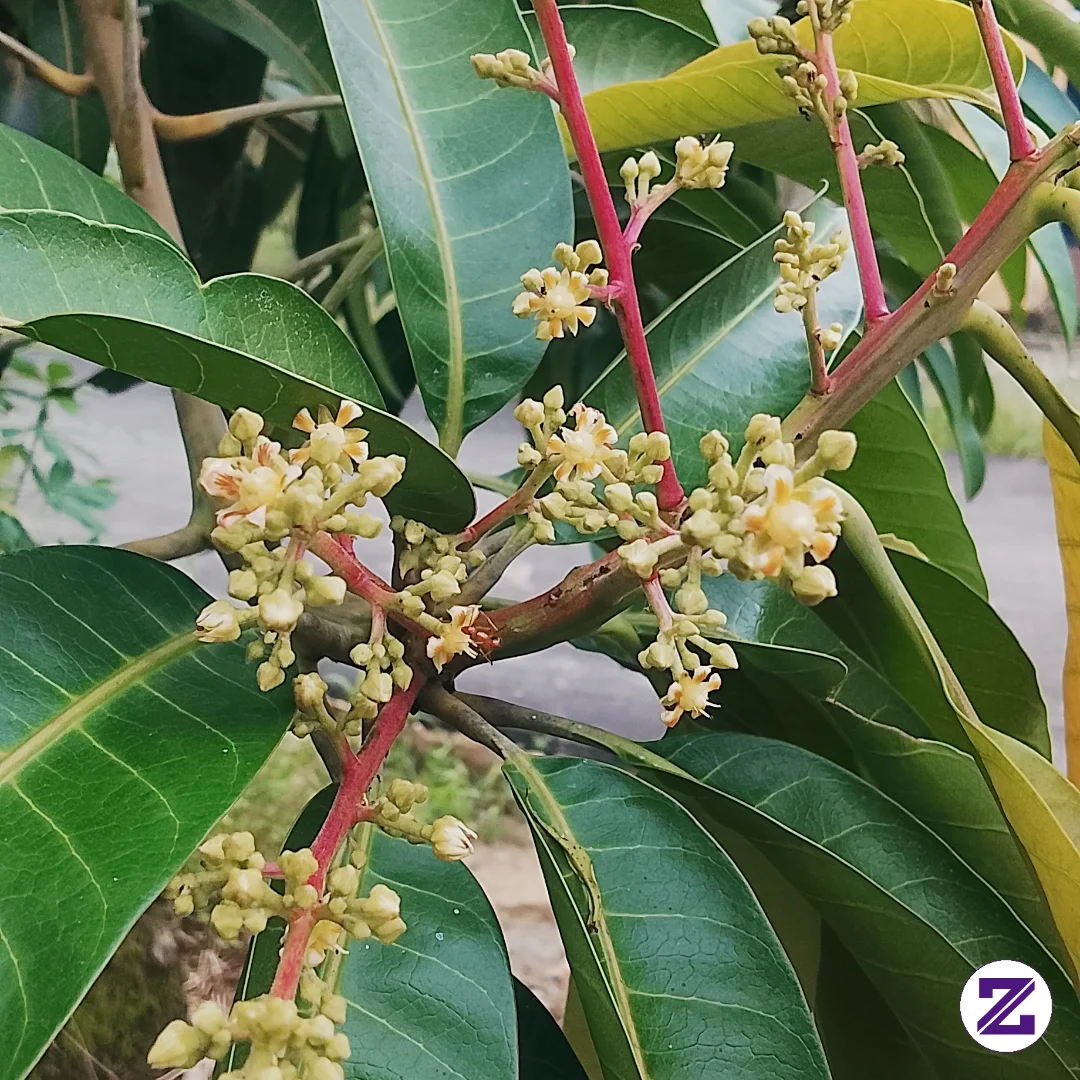 Bunga Yang Tak Terburu-buru — Pesan Untuk Kamu Yang Lelah Menanti 🌿