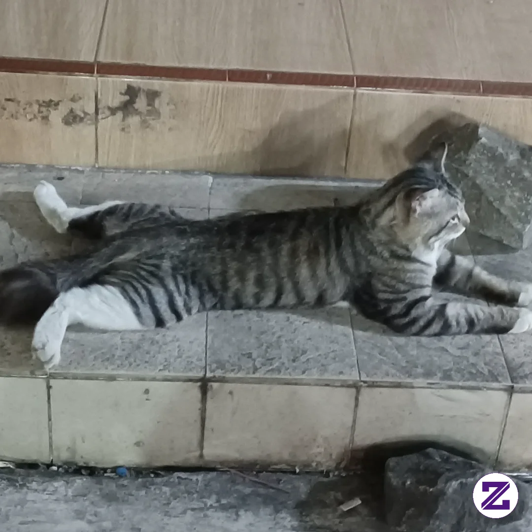 Lagi Nunggu Mata Biar Monet😆