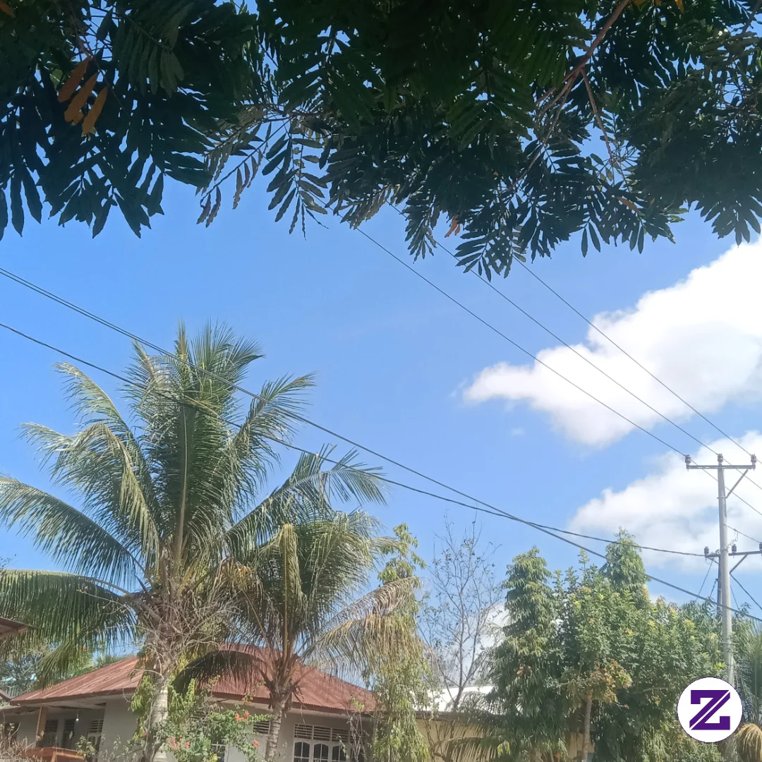 Siang' Kayak Gini Enaknya Ngapain Aja Ya, Kalian Siang Gini Ngapain