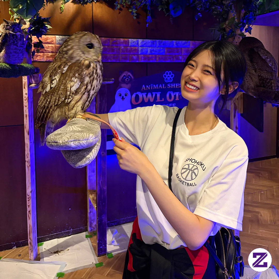 你喜欢这只鸟吗? 🦉