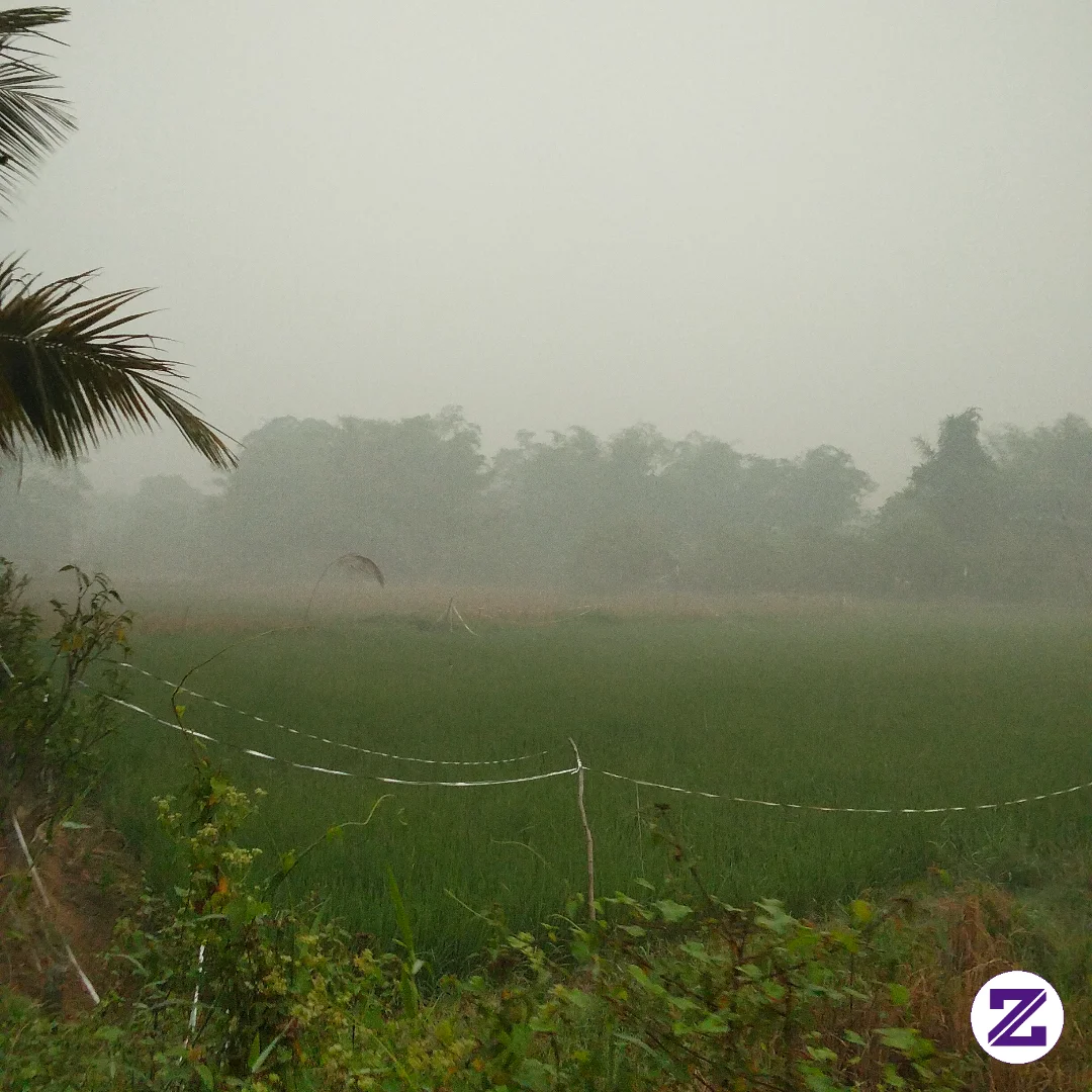 Kabut Asap Karhutla Yang Masih Terjadi Dini Hari, Walaupun Masih Hujan