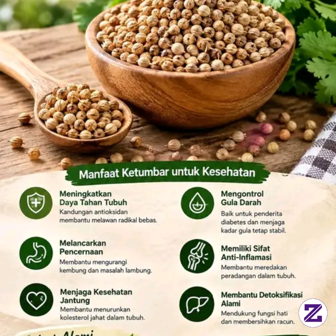 🌿 JANGAN REMEHKAN KETUMBAR! REMPAH KECIL YANG PENUH PESONA