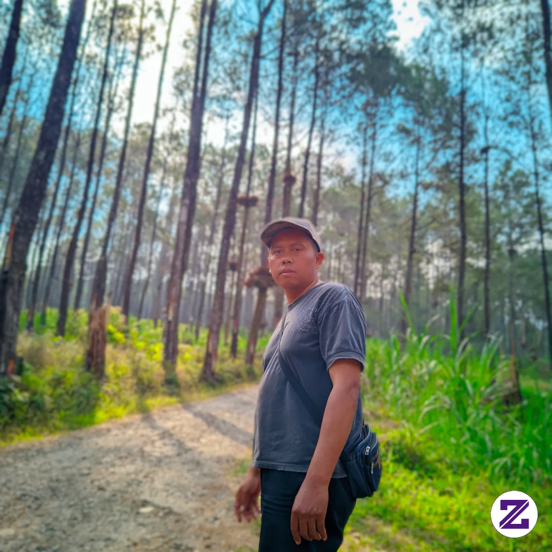 Suasan Jalan Ke Desa Lawen Lewat Hutan Pinus Di Kec Pandanarum Banjarnegara