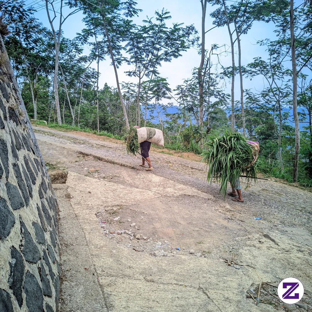 Suasan Di Desa Saat Petani Pulang Dari Ladang