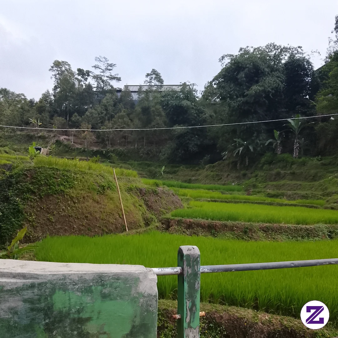 Nothing Surpasses The Beauty Of This Green Expanse—the Source Of All Life.