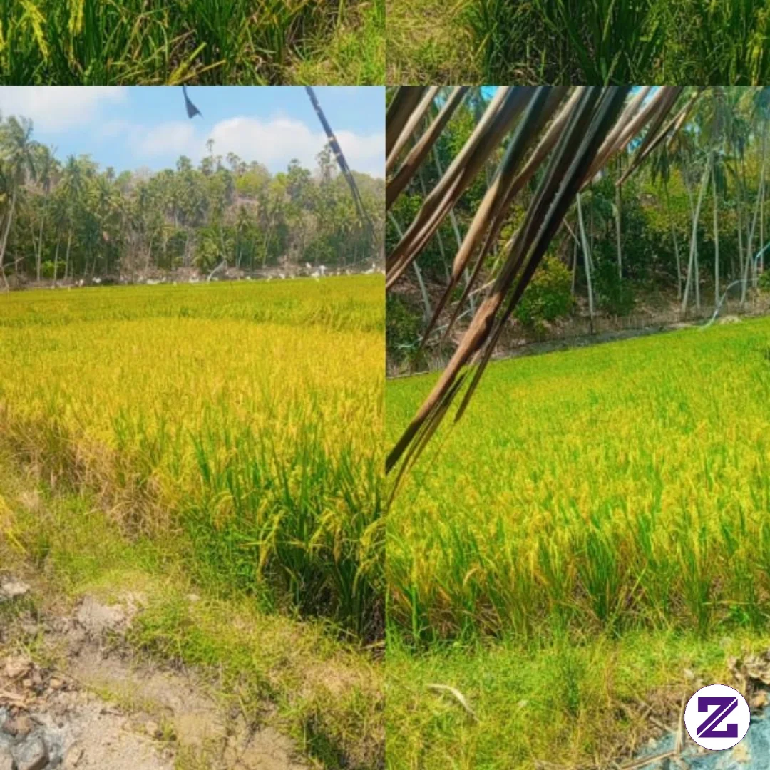 Selamat Sore Guys😊 Kalau Lewat Beranda Kalian Jangan Lupa Di Sapa Ya😇