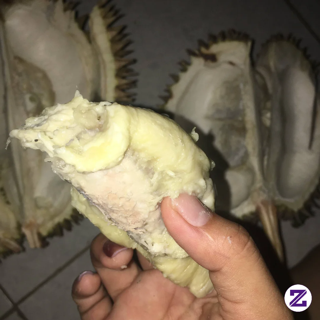Ngidam Banget Makan Duren, Duren Se Enak Itu Aslii Dehh