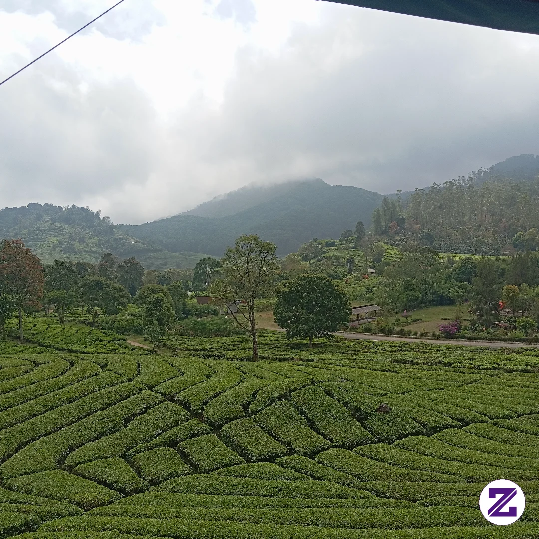 Kebunteh Yang Sejuk Pemandangan Yang Indah Ciwidey Pangalengan Wajib Didatangi