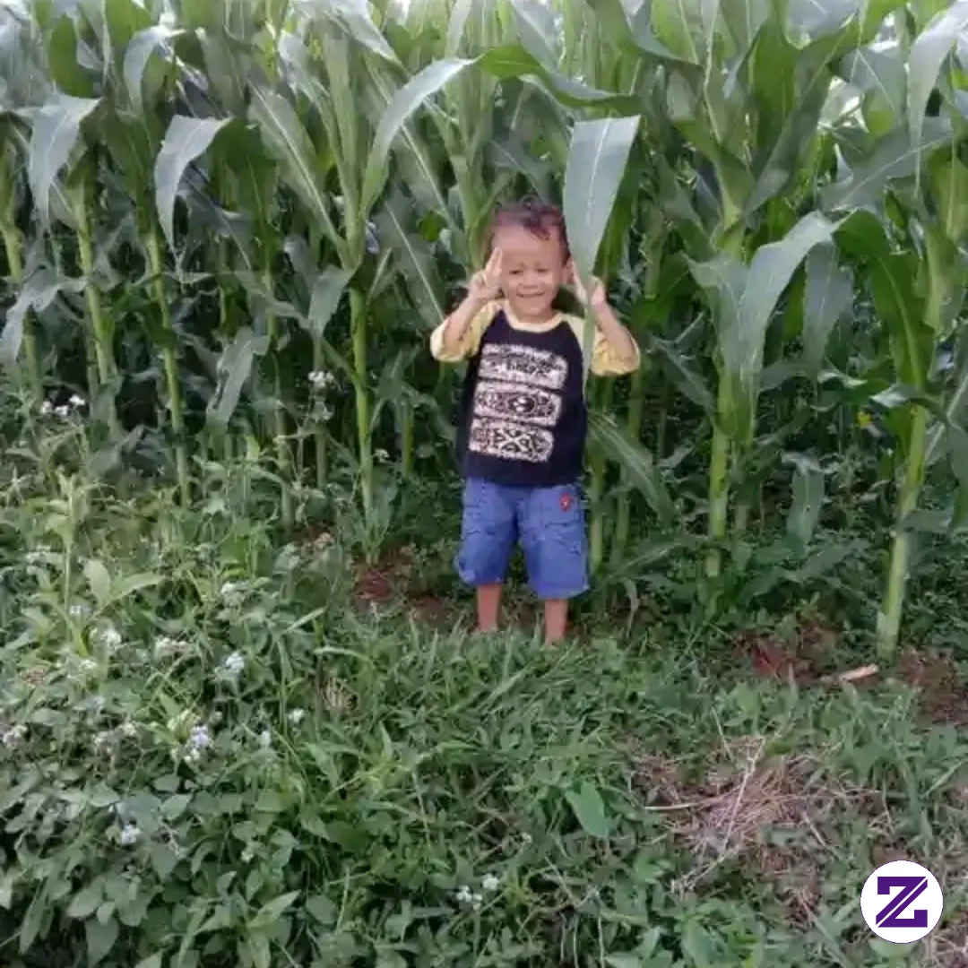 Anak Desa Ya Gini Main Nya Di Sawah