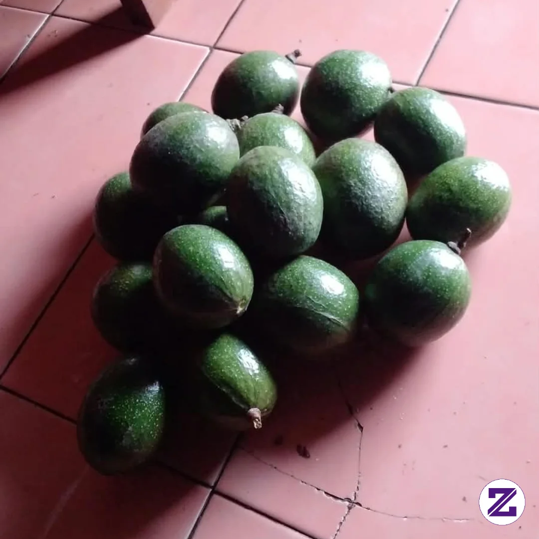 Di Bikin Jus Campur Susu Kek Nya Enak