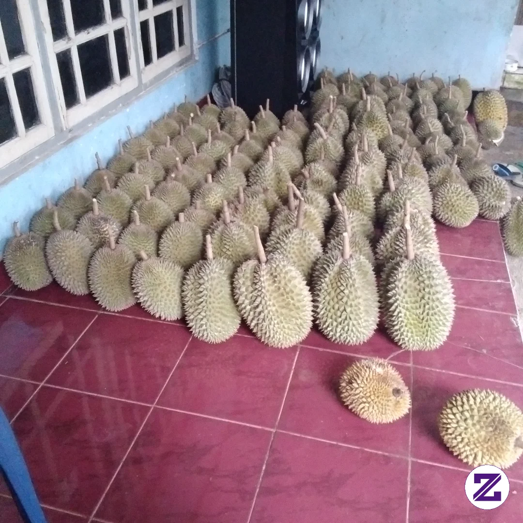 Buah Favorit Yg Lagi Musim