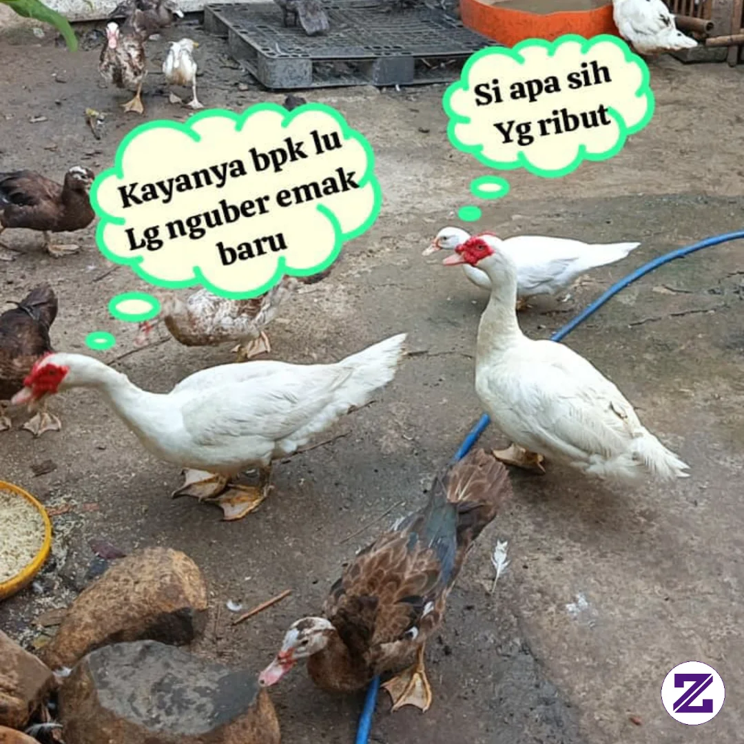 Percakapan Entog