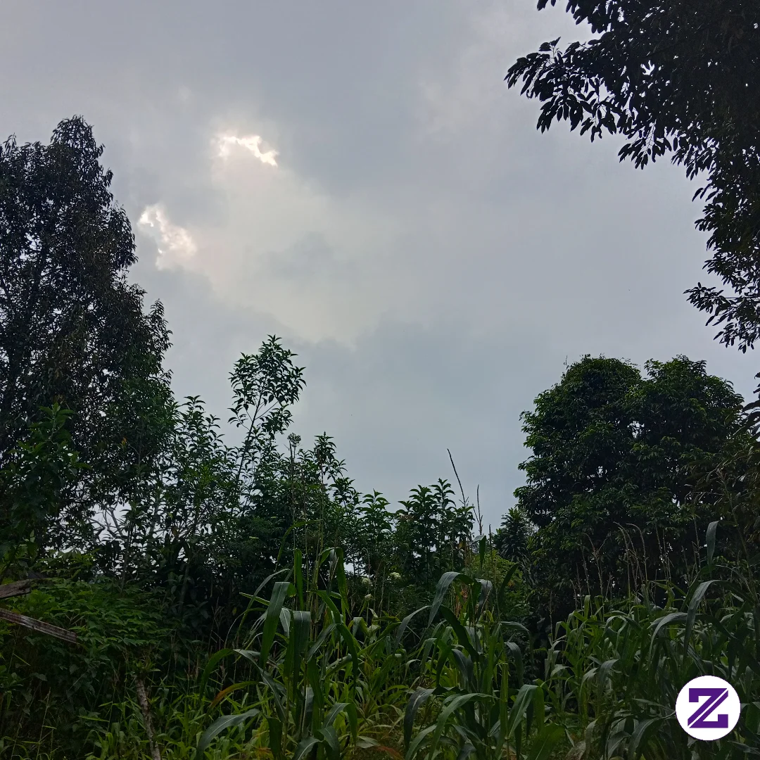 Tumben Banget Sore Ini Sangat Cerah Biasanya Hujan
