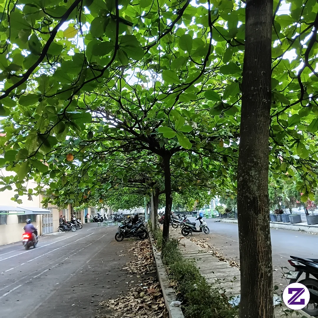 Selamat Pagi,selamat Beraktivitas Kembali Semuanya #jangkauanluas #monetisasi