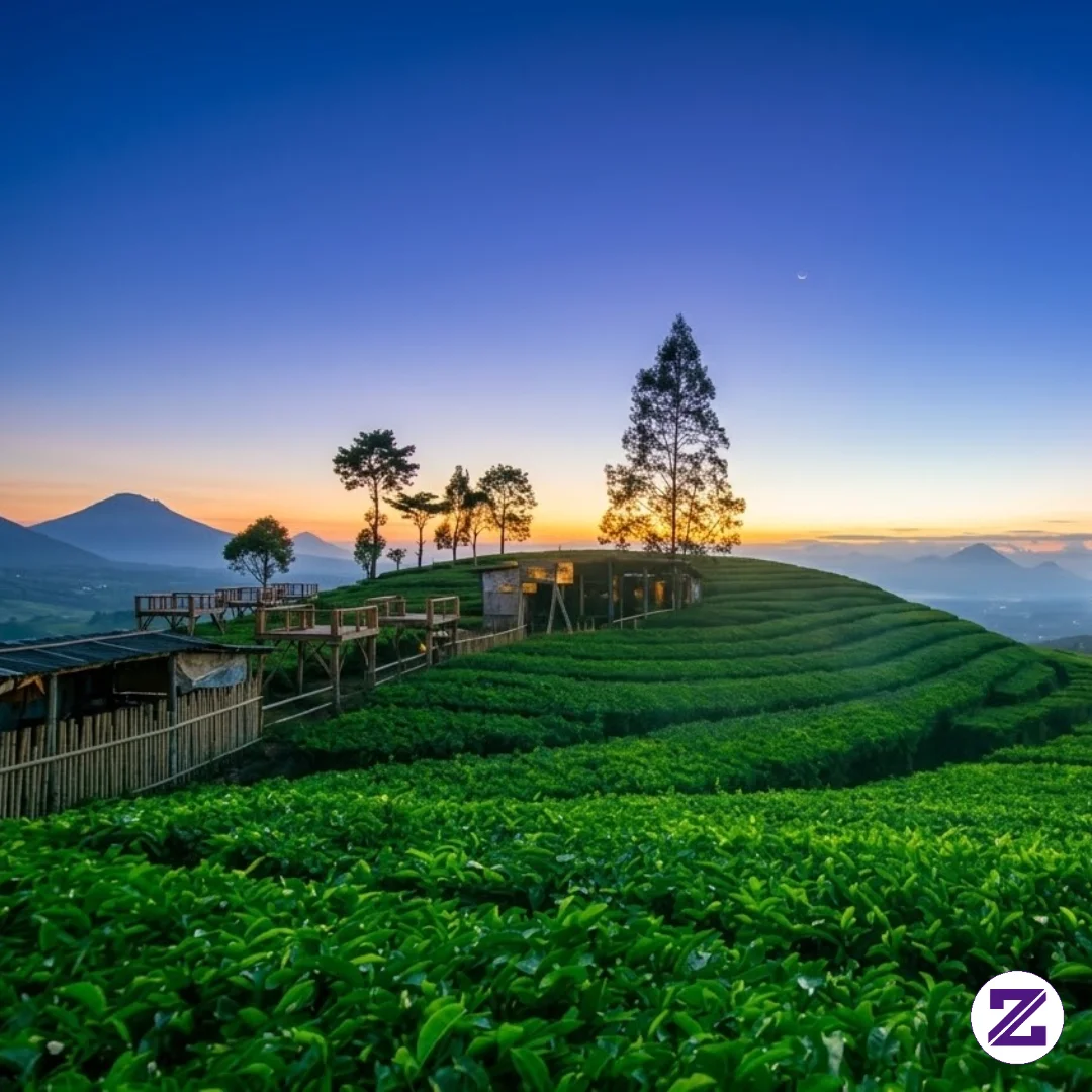 Pemandangan