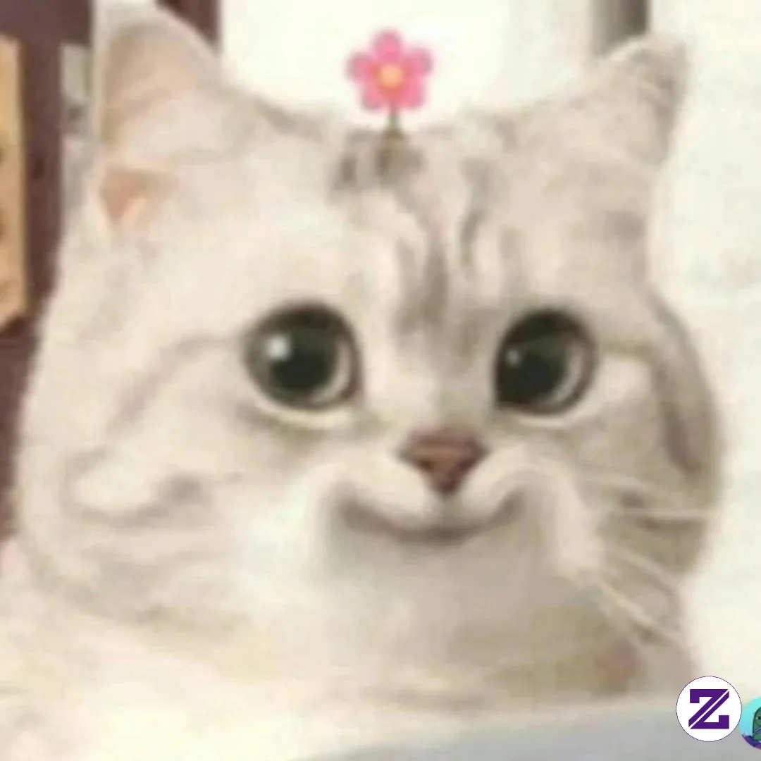 Kucing Meong