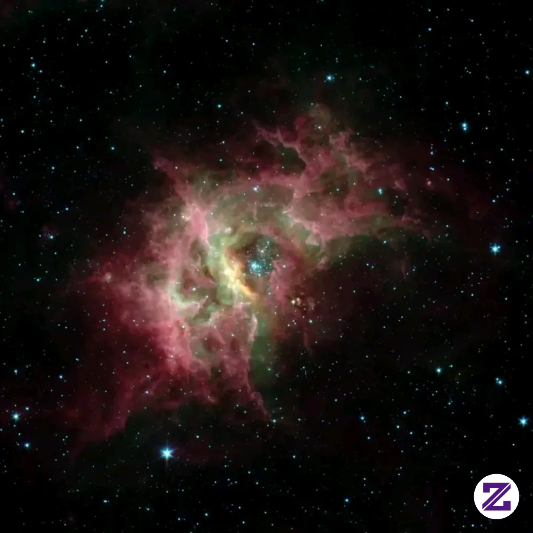 RCW 49 – A Stellar Nursery