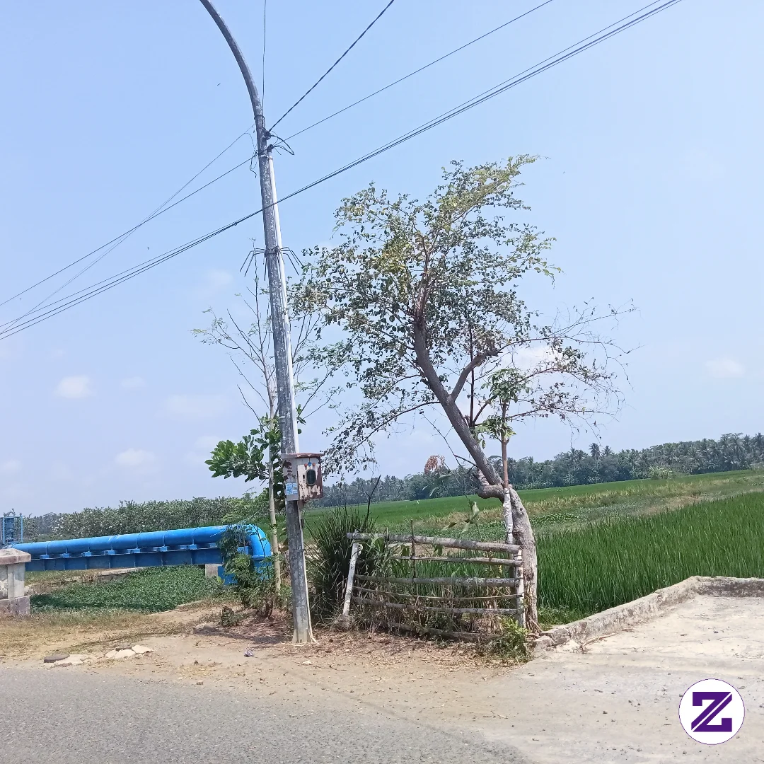 Cuaca Hari Ini Cerah
