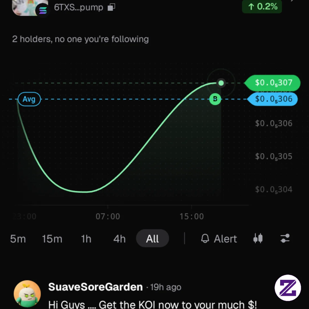 Meme Coin Solana Token