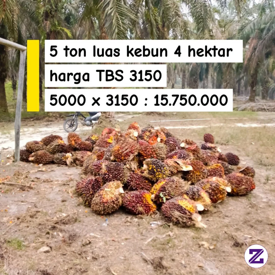 Menyala Harga Sawitt.