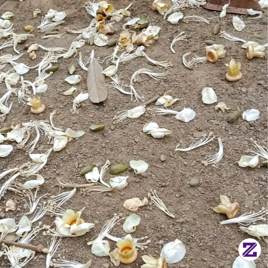 Saat Tugas Kita Selesai