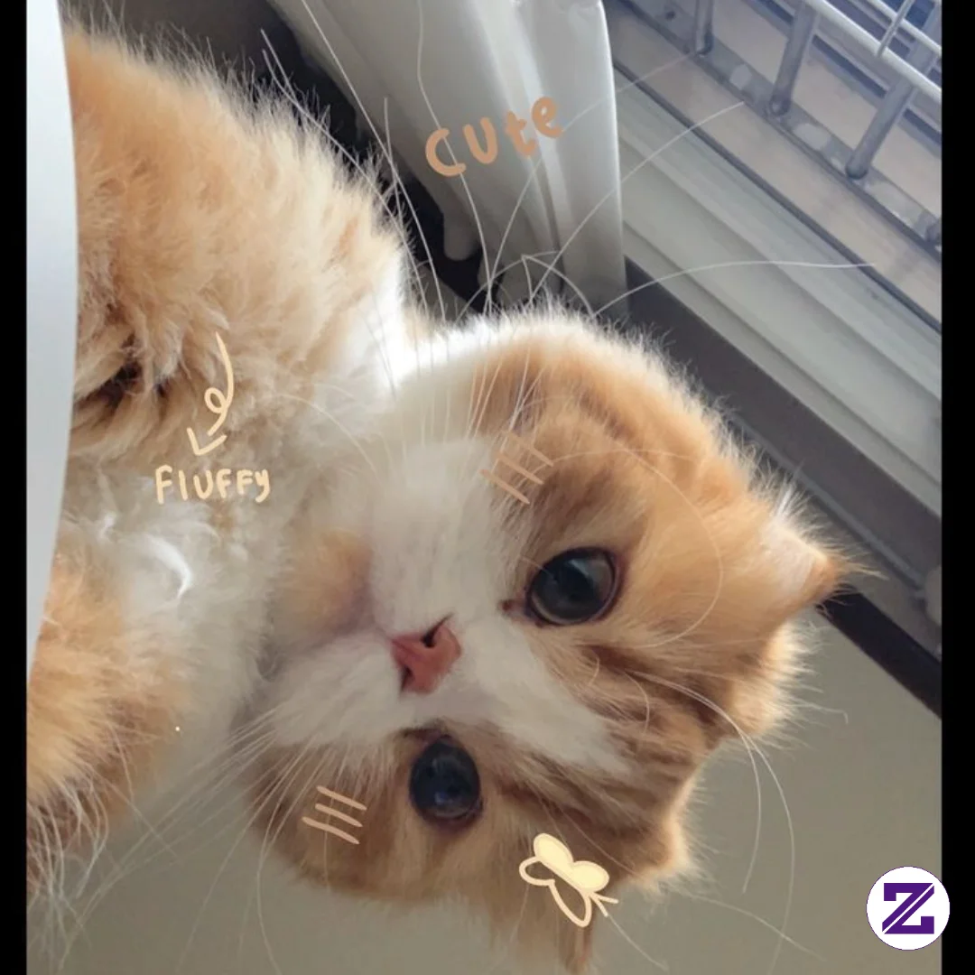 Gak Tau Kenapa Suka Banget ,sama Yang Lucu Lucu🥰😍