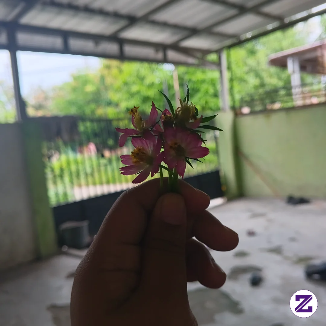 Salam Kenal Warga Zoyalink