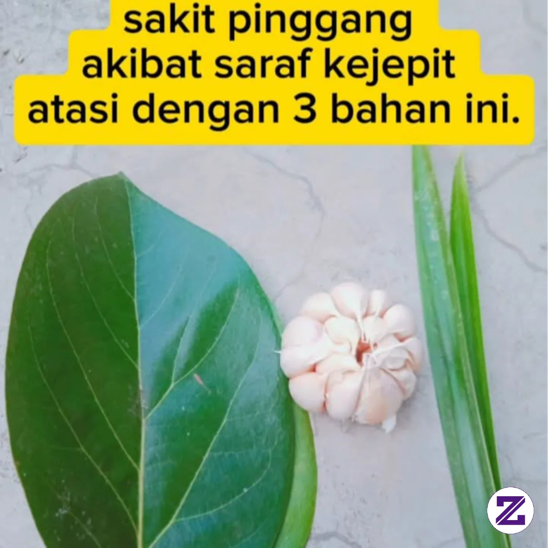 Daun Alpukat, Daun Pandan Dan Bawang Putih.