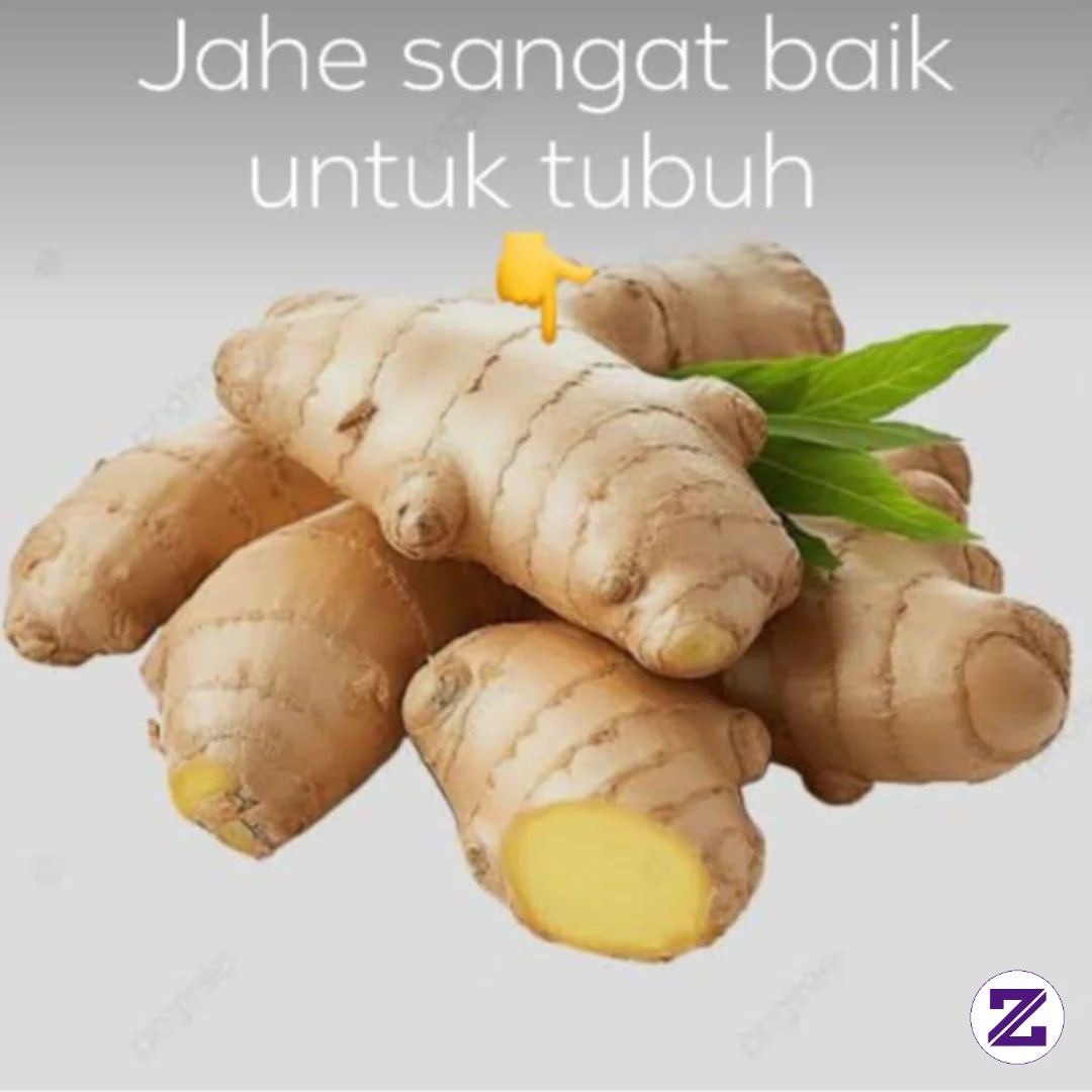 Kasiat Jahe Mentah Bagi Tubuh.