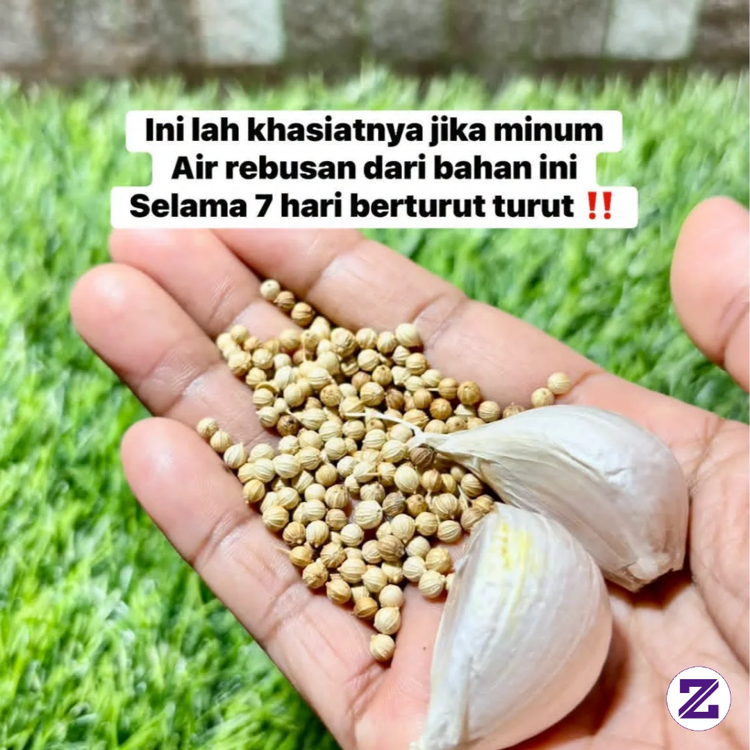 Air Rebusan Ketumbar Dan Bawang Putih Berkhasiat Melancarkan Peredaran Darah,