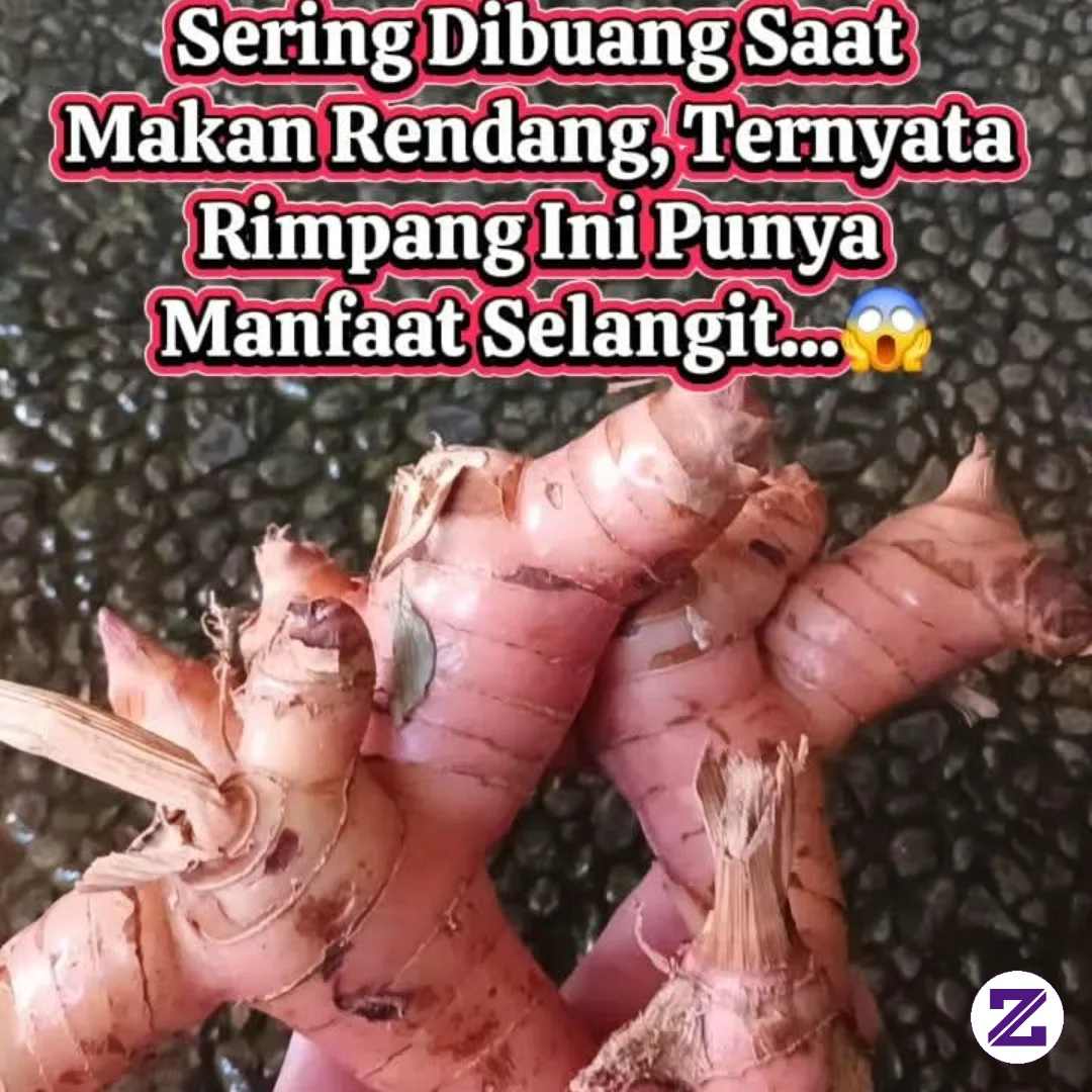 SERING DIBUANG SAAT MAKAN RENDANG, TERNYATA RIMPANG INI PUNYA MANFAAT SELANGIT!