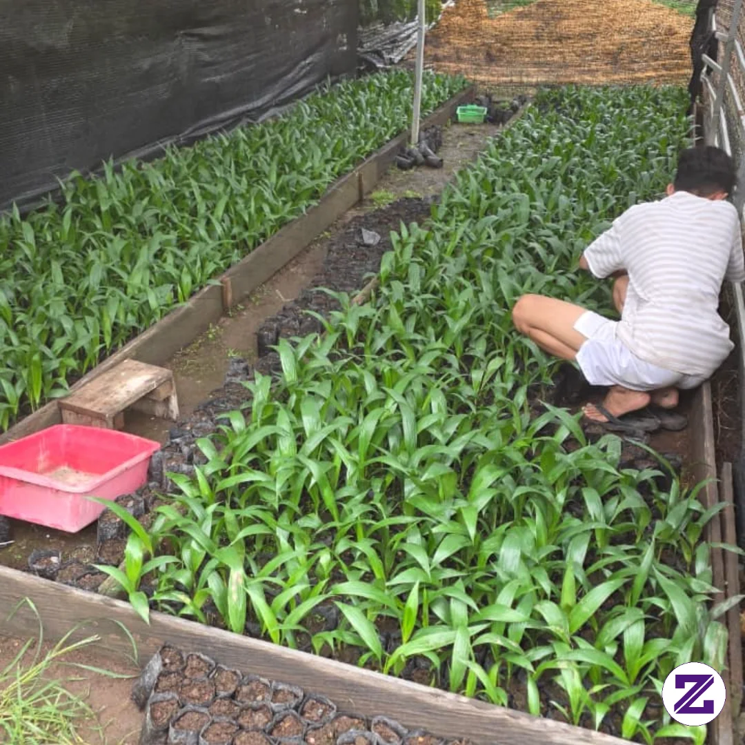 “Jangan Malu Menjadi Petani. Di Balik Keringatmu Ada Makanan, Di Balik Ternakmu