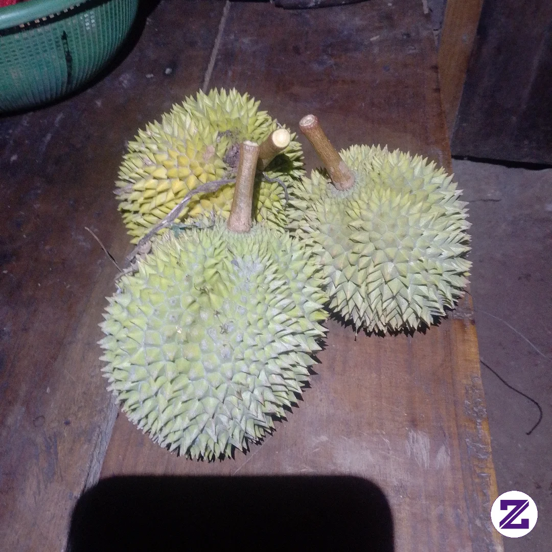 Hasil Nge Bolang Malam Ini Guys