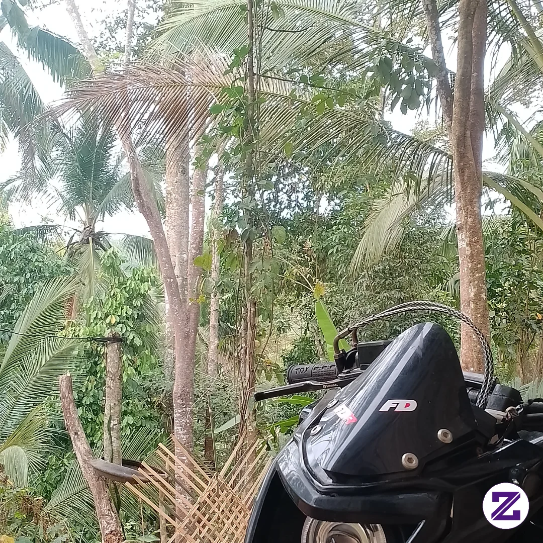 Info Bolangan Untuk Hari Ini Guys,udah Suntuk D Rumah