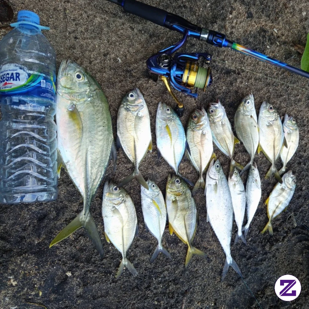 Mancing Mania