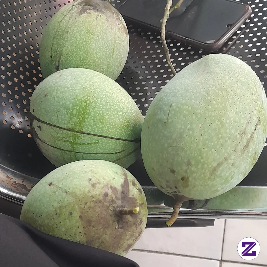 Buah Mnga Seger Baru Metik, Smga Hasilnya Manis.