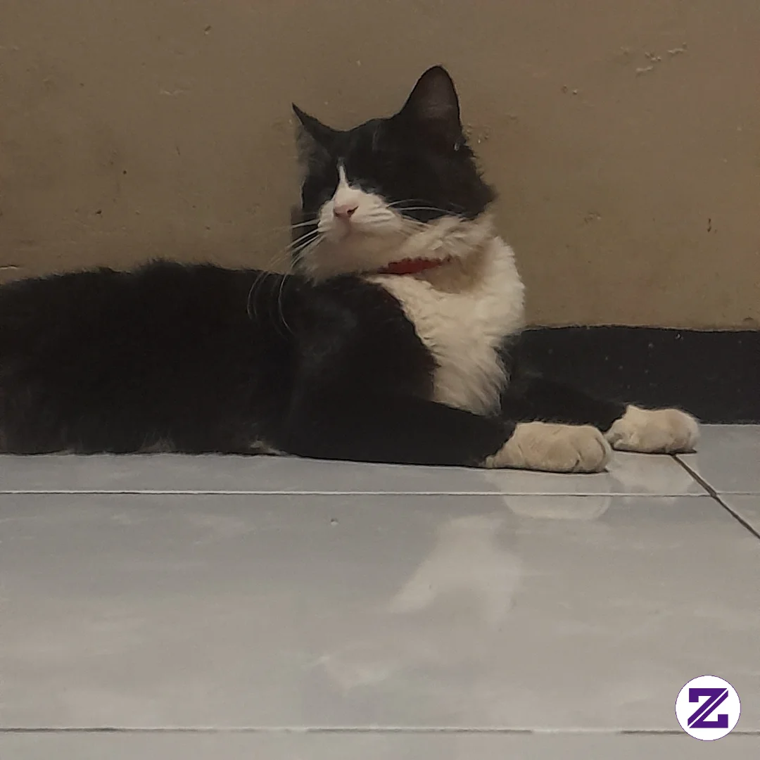 Lebih Sedikit Tenang, Nmun Selalu Mnjdi Pikiran.