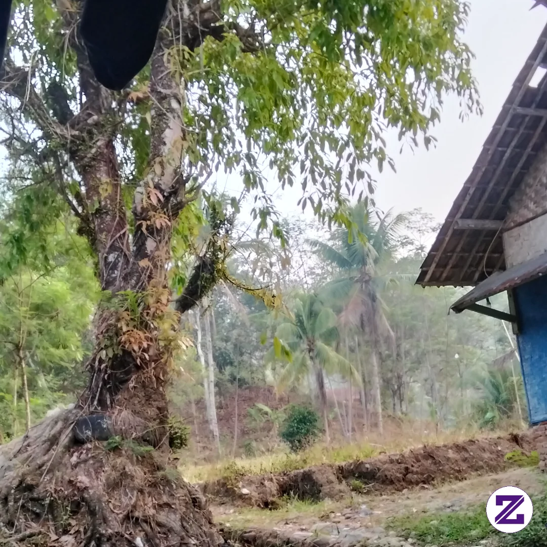 Cuaca Nya Sangat Cerah.