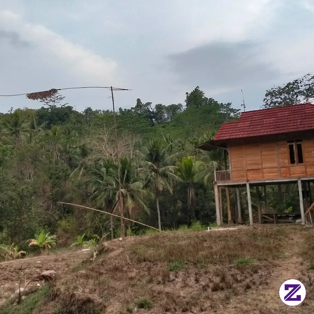 Keliling Ke Kebun Sambil Melihat Villa Indahnya Kampung Kelahiranku ...Cocok