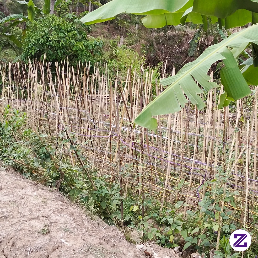 Waktunya Berkebun Lagi😁