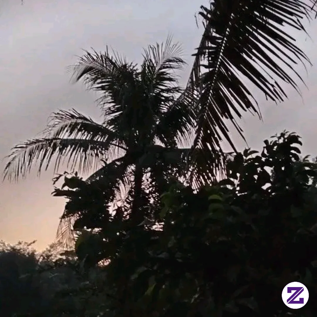 SELAMAT PAGI DAN SAATNYA BERAKTIVITAS KMBLI...Mntap Cuacanya Dingin🥶nyoooh Di