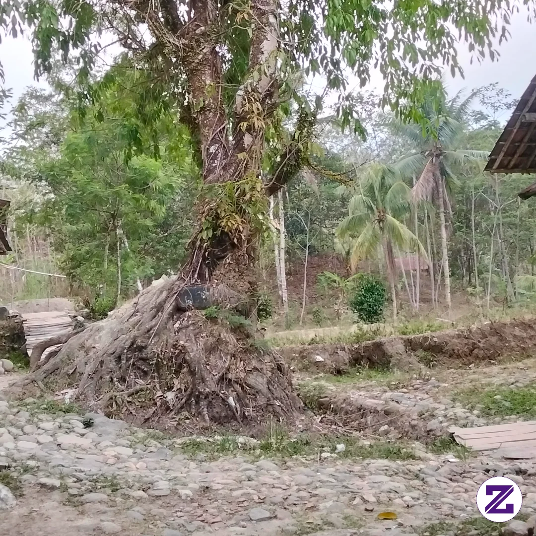 Cuaca Di Sore Hari Di Kampung Sangat Lah Adem Sunyi