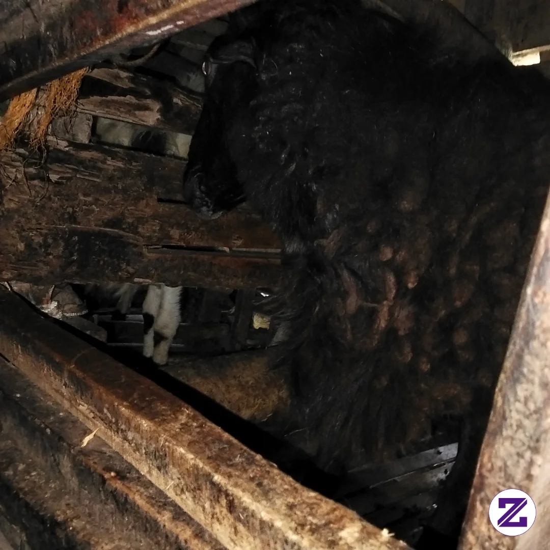 Bpknya Masih Taktor Harga 25jt Dan Inilah Turunannya DOMA Garut Adu