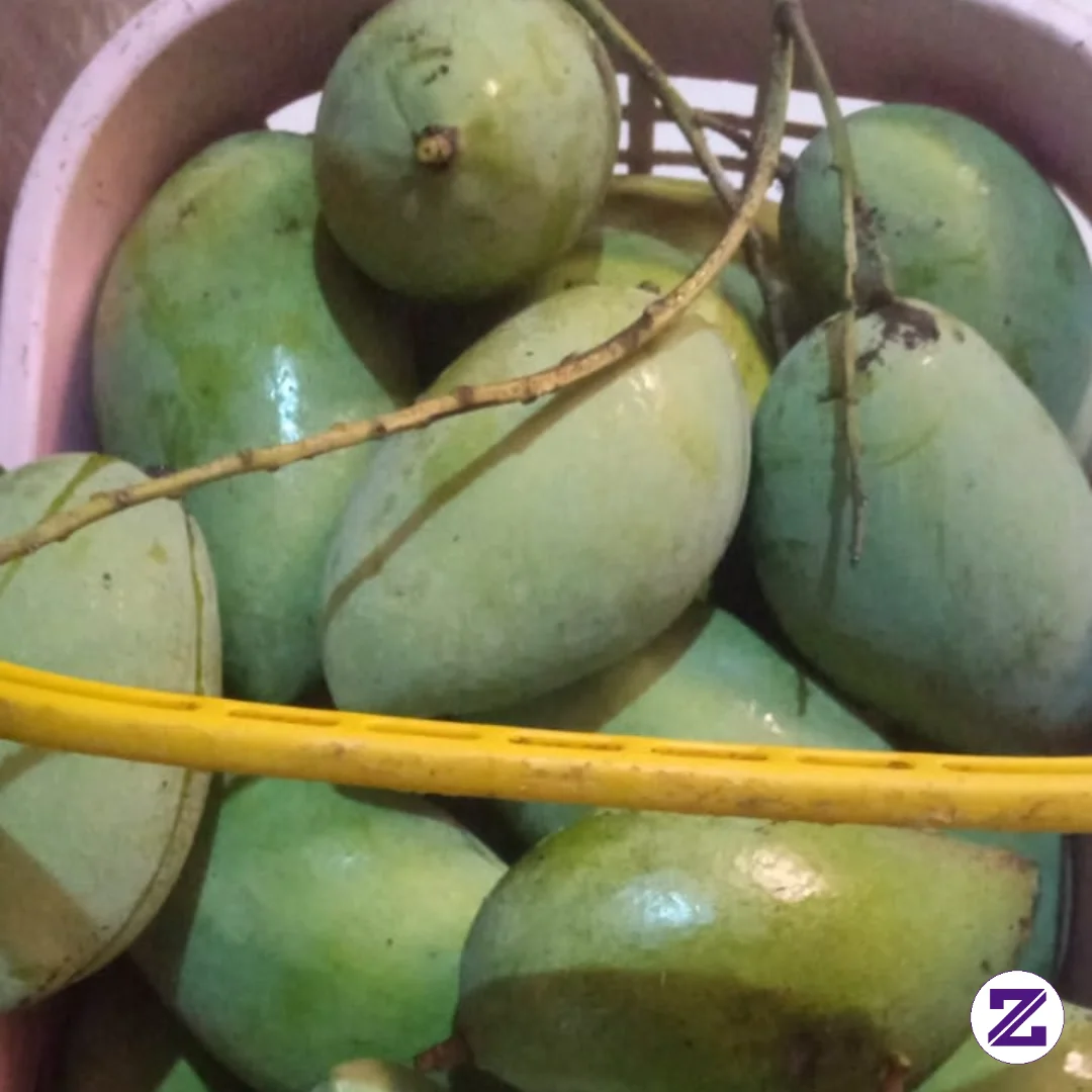 Gambar Disini Lagi Musim Buah Beb. Dikalian Musim Apa Nih???? Sama Gak kategori Umum dipublikasikan oleh Dnti Rizkigadilah di Zoyalink
