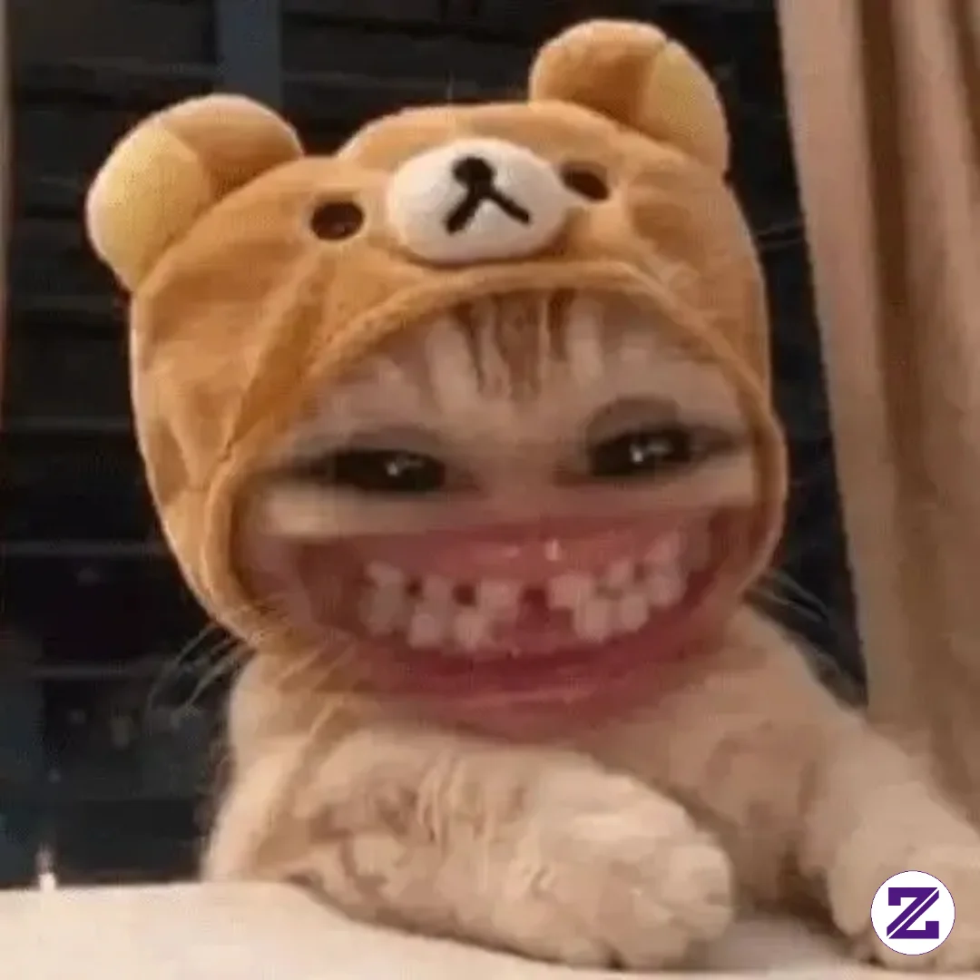 Hallo Semuanya Tetap Semangat Ya #fyp#jangkauanluas#sorotan#meme#kucing