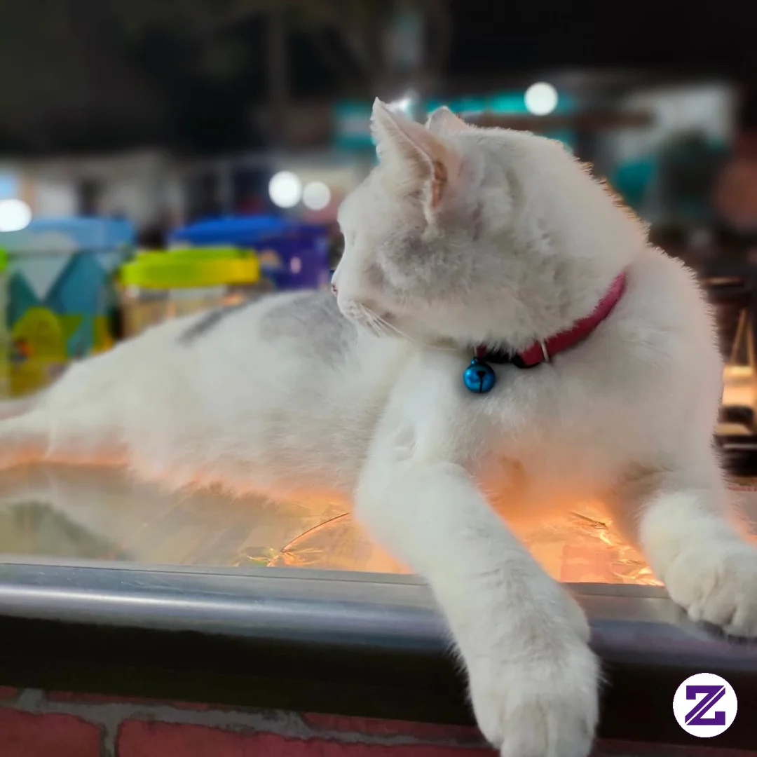 Tukang Makan, Tukang Tidur, Tukang Berak
